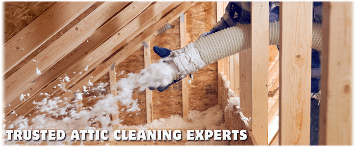 Attic Cleaning Reston VA